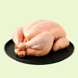 Ayam dan Bebek